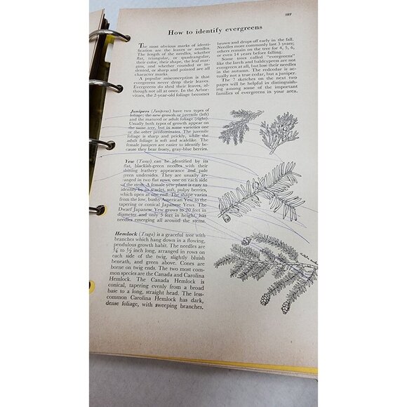 Vintage Better Homes and Gardens- Garden Book - Picture 10 of 15